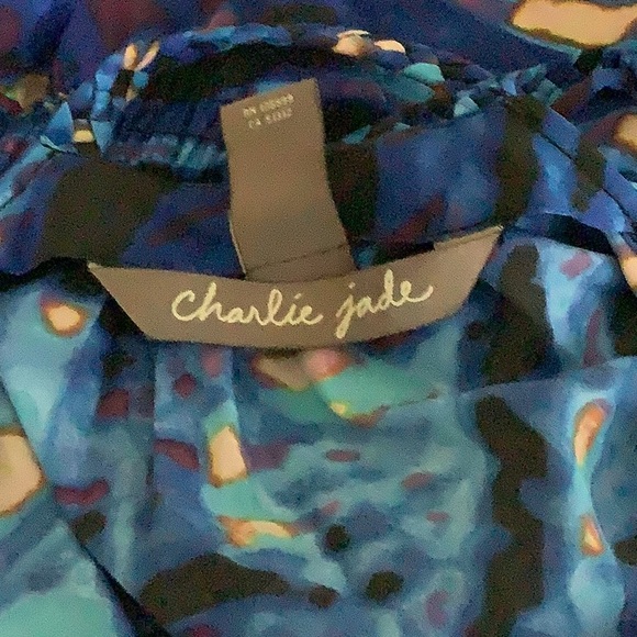 Charlie jade dress💙 - Picture 7 of 8